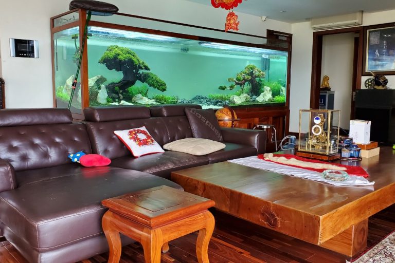 5f17233d37dcca8293cd