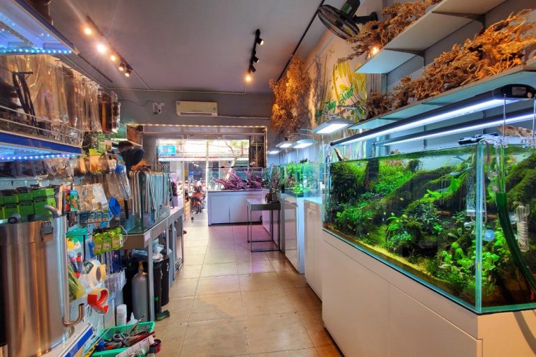 fa49a34b43c4be9ae7d5