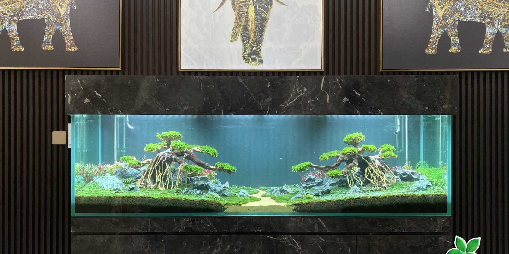 ho-thuy-sinh-bonsai-khu-rung-cua-bay-voi-01 Hồ thủy sinh "Khu rừng của bầy voi"