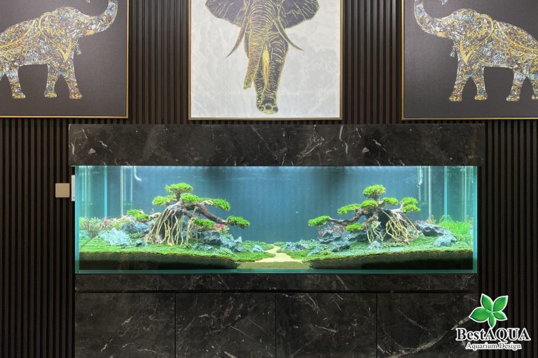 Hồ thủy sinh "Khu rừng của bầy voi"